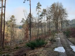 les alentours de Dinez