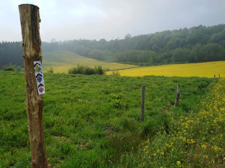 A vos appareils photo