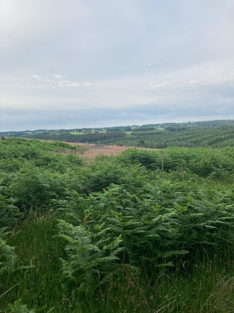 Les alentours de Wibrin