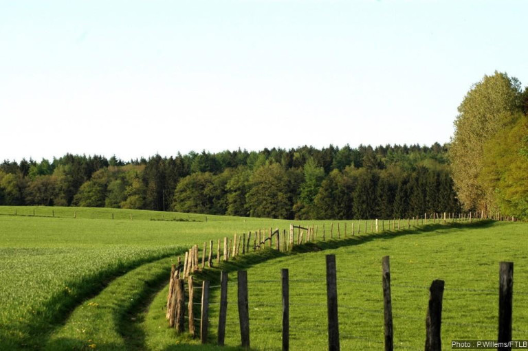 La commune de Engreux