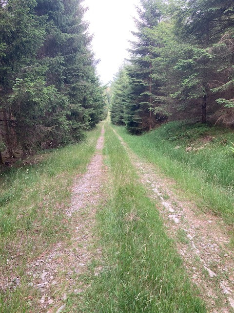 Les alentours de Wibrin