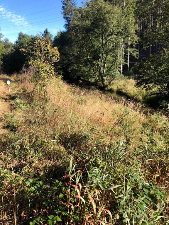 Encore la nature sauvage