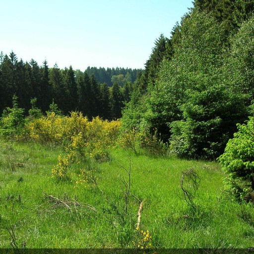 Commune de Sommerain