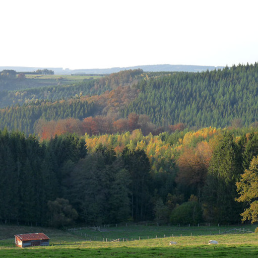 La commune de Bonnerue
